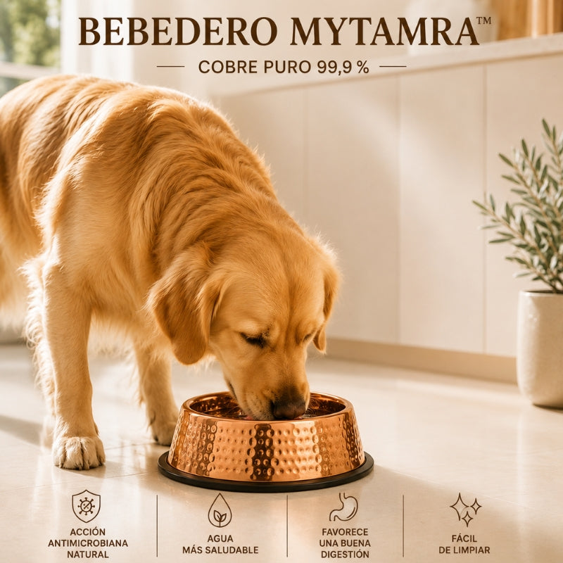 Bebedero MyTamra Natura™ de cobre puro